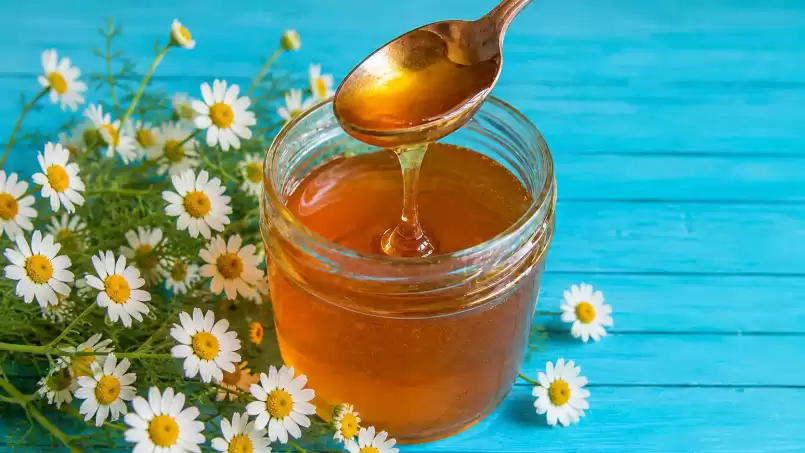 Macerat de camomille dans du miel ou miel de camomille
